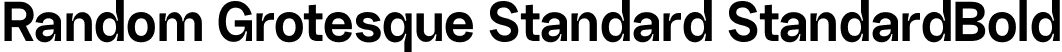 Random Grotesque Standard StandardBold font - RG-StandardBold.ttf