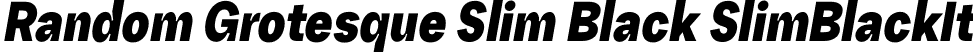 Random Grotesque Slim Black SlimBlackIt font - RG-SlimBlackIt.otf