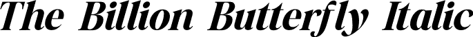 The Billion Butterfly Italic font - The Billion Butterfly Italic.otf