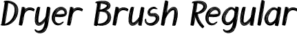 Dryer Brush Regular font - DryerBrush.otf