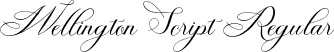 Wellington Script Regular font - WellingtonScriptRegular-rgMPK.ttf