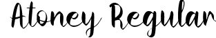 Atoney Regular font - Atoney.ttf