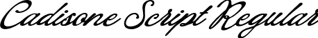 Cadisone Script Regular font - Cadisone Script.ttf