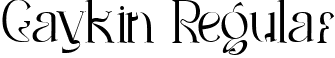 Gaykin Regular font - Gaykin.ttf