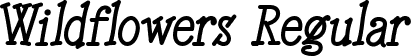 Wildflowers Regular font - Wildflowers.otf