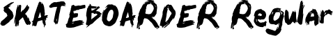 SKATEBOARDER Regular font - SKATEBOARDER.otf