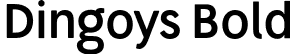 Dingoys Bold font - Dingoys.otf