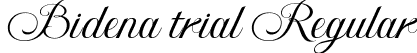 Bidena trial Regular font - Bidenatrial.otf