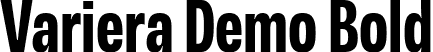 Variera Demo Bold font - VarieraDemo-Bold.ttf