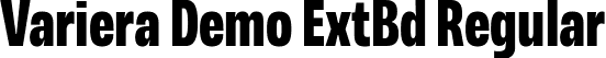 Variera Demo ExtBd Regular font - VarieraDemo-ExtraBold.ttf