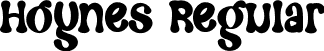 Hoynes Regular font - Hoynes.ttf