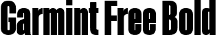 Garmint Free Bold font - Garmint Display Free.ttf