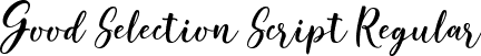 Good Selection Script Regular font - Good Selection Script.ttf