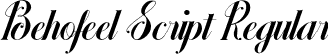 Behofeel Script Regular font - Behofeel Script.ttf