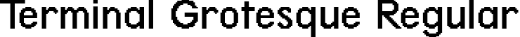 Terminal Grotesque Regular font - terminal-grotesque-webfont.ttf