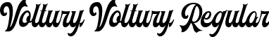 Voltury Voltury-Regular font - Voltury Demo.ttf