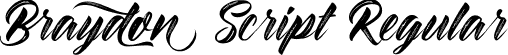 Braydon Script Regular font - Braydon Script.ttf