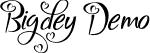 Bigdey Demo font - Bigdey Demo.ttf