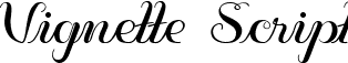 Vignette Script font - Vignette.ttf