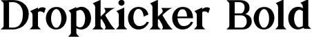 Dropkicker Bold font - Dropkicker-Bold.ttf