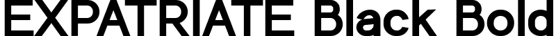 EXPATRIATE Black Bold font - EXPATRIATE-Black.ttf