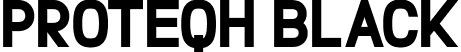 Proteqh Black font - Proteqh Black.otf