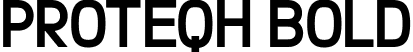 Proteqh Bold font - Proteqh Bold.otf