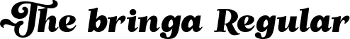 The bringa Regular font - thebringaregular-axjnm.ttf