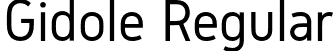 Gidole Regular font - Gidole-Regular.otf