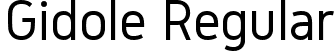 Gidole Regular font - Gidole-Regular.ttf