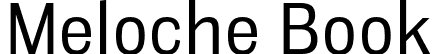 Meloche Book font - meloche-bk.otf