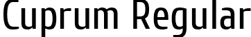 Cuprum Regular font - Cuprum-Regular.ttf