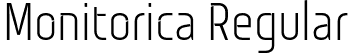 Monitorica Regular font - Monitorica-Rg.otf