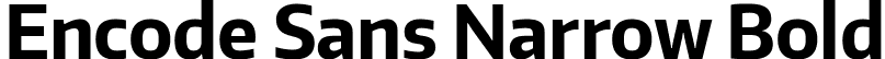 Encode Sans Narrow Bold font - EncodeSansNarrow-700-Bold.ttf