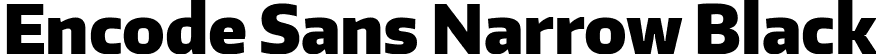 Encode Sans Narrow Black font - EncodeSansNarrow-900-Black.ttf