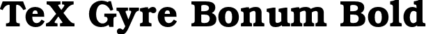 TeX Gyre Bonum Bold font - texgyrebonum-bold.otf