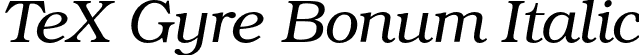 TeX Gyre Bonum Italic font - texgyrebonum-italic.otf