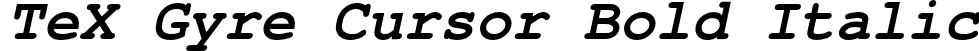 TeX Gyre Cursor Bold Italic font - texgyrecursor-bolditalic.otf