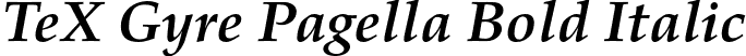 TeX Gyre Pagella Bold Italic font - texgyrepagella-bolditalic.otf