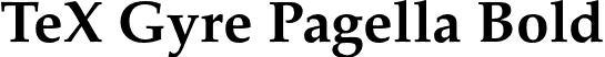 TeX Gyre Pagella Bold font - texgyrepagella-bold.otf