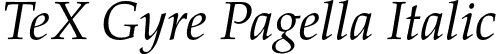 TeX Gyre Pagella Italic font - texgyrepagella-italic.otf