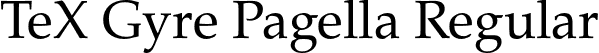 TeX Gyre Pagella Regular font - texgyrepagella-regular.otf