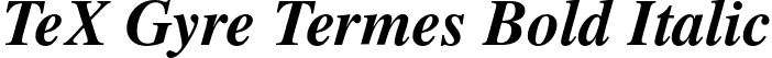 TeX Gyre Termes Bold Italic font - texgyretermes-bolditalic.otf