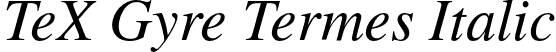 TeX Gyre Termes Italic font - texgyretermes-italic.otf