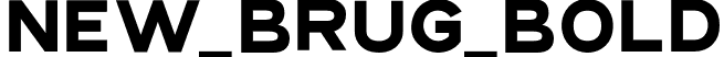 NEW_BRUG_Bold font - NewBrugBold-7BzLV.otf