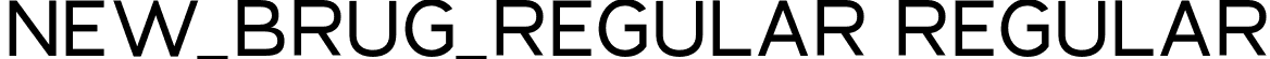 NEW_BRUG_Regular Regular font - NewBrugRegular-L3ojn.otf