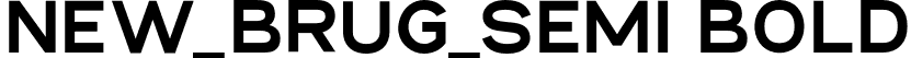 NEW_BRUG_Semi Bold font - NewBrugSemiBold-X3njg.otf