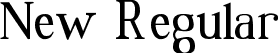 New Regular font - one47.ttf