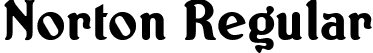 Norton Regular font - NORTON__.TTF