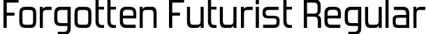 Forgotten Futurist Regular font - forgotten futurist rg.otf